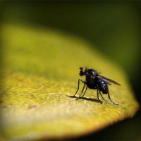 /album/eugenecarrie/photolia-a07-jpg/